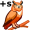 owls5