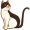 cat5