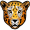 leopard5