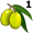 olive5
