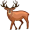 elk5