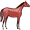 roan5