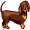 dachshund5