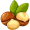 macadamia5