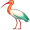 ibis5