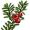 yew5