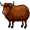 yak5