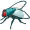 fly5