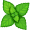 mint5