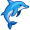 dolphine5