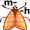m-ot-h5