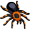 tarantula5