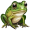 frog5