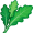 arugula5