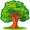oak5
