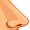 nose5