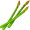 asparagus5