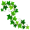 ivy5