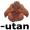 orangutan5
