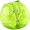 cabbage5