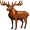 elk5
