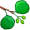 alder5