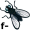 f-ly5