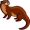 otter5