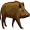 hog5