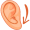 earlobe5