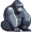 gorilla5