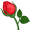 bud5