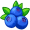 blueberry5