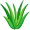 aloe5