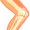 knee5