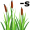 reed-s5