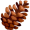 cone5