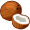 coconut5