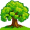 oak5