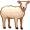lamb5