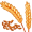 rye5