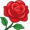 rose5