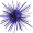 urchin5