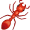ant5