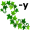 iv-y5