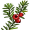 yew5