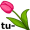 tu-lip5