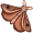 moth5