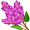 lilac5