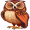 owl5